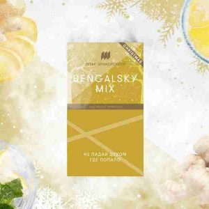 SHpakovskogo_Bengalsky-Mix
