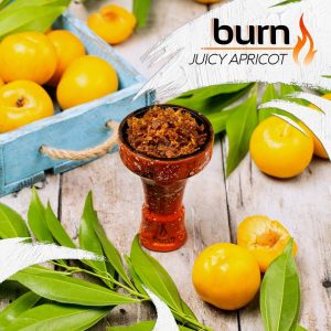 Burn-Juicy-Apricot