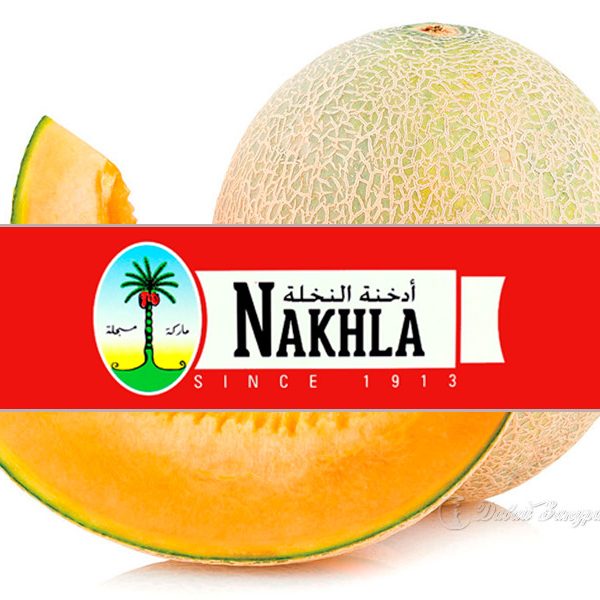 nakhla-new-sweet-melon-1