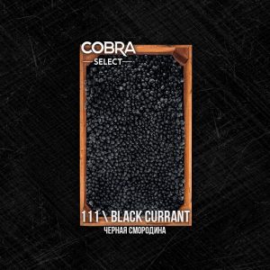 kupit-tabak-cobra-select-40-black-currant-800x800