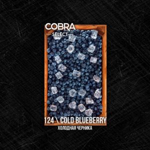 kupit-tabak-cobra-select-40-cold-blueberry-1200x630