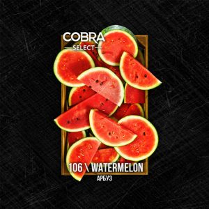 kupit-tabak-cobra-select-40-watermelon-1200x630